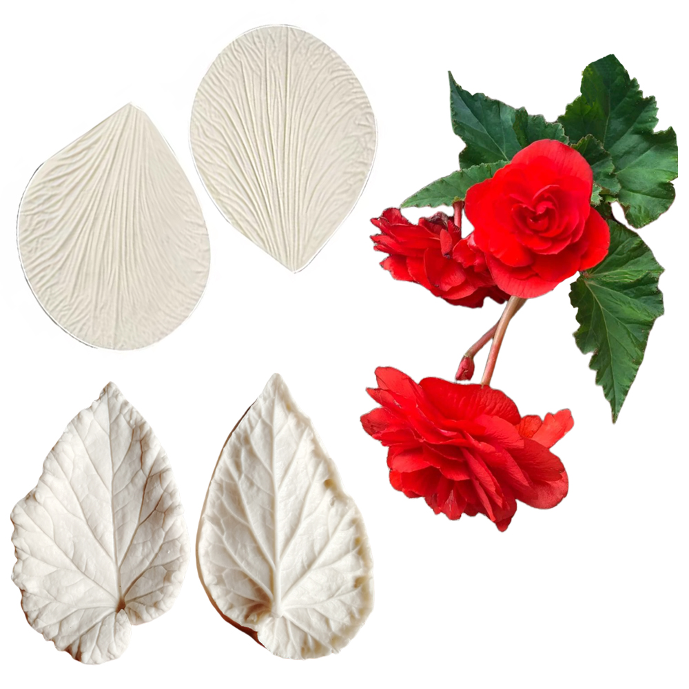 Begonia Tuberous Veiner Stampi - Eco Art Craft recensione e prezzo