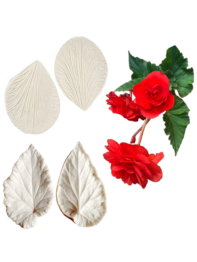Begonia Tuberous Veiner Stampi - Eco Art Craft recensione e prezzo