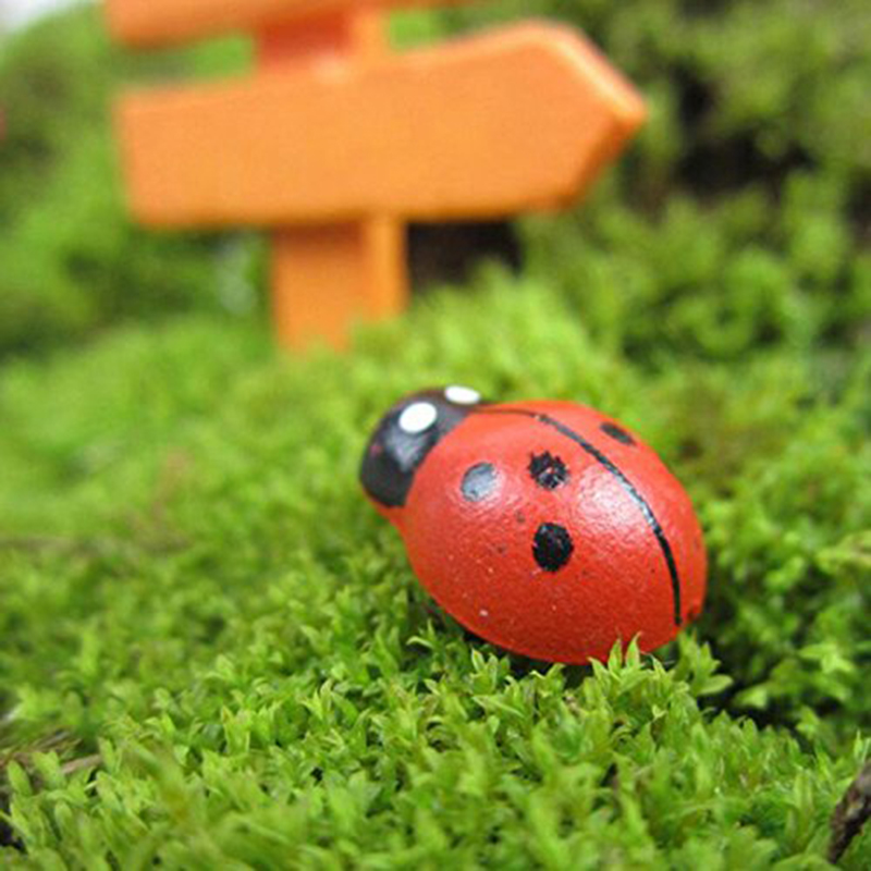 Mini Coccinelle Adesive per Fr - Art Craft Ladybug recensione e prezzo